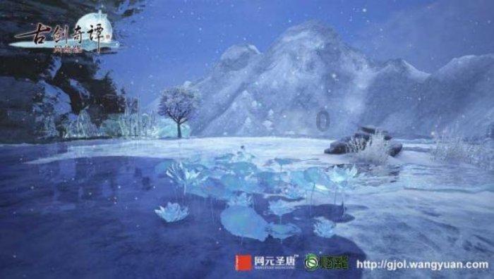 两会时间基层代表说宁夏人大代表丁秀琴 政企合力共同推动宁夏奶业高质量发展